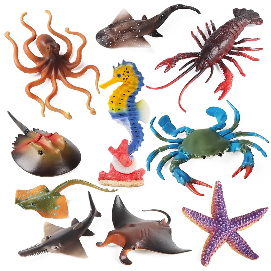 45R 海の生き物達 45R 海の生き物達